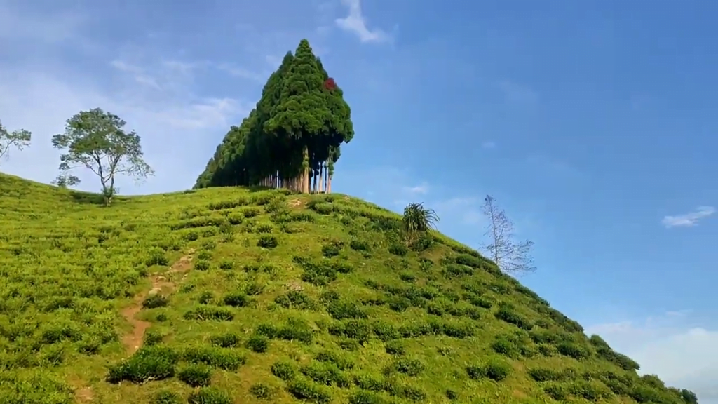 Tingling View Point, Mirik