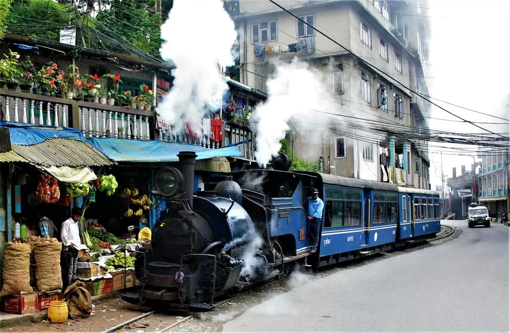 Darjeeling Toy Train (5)