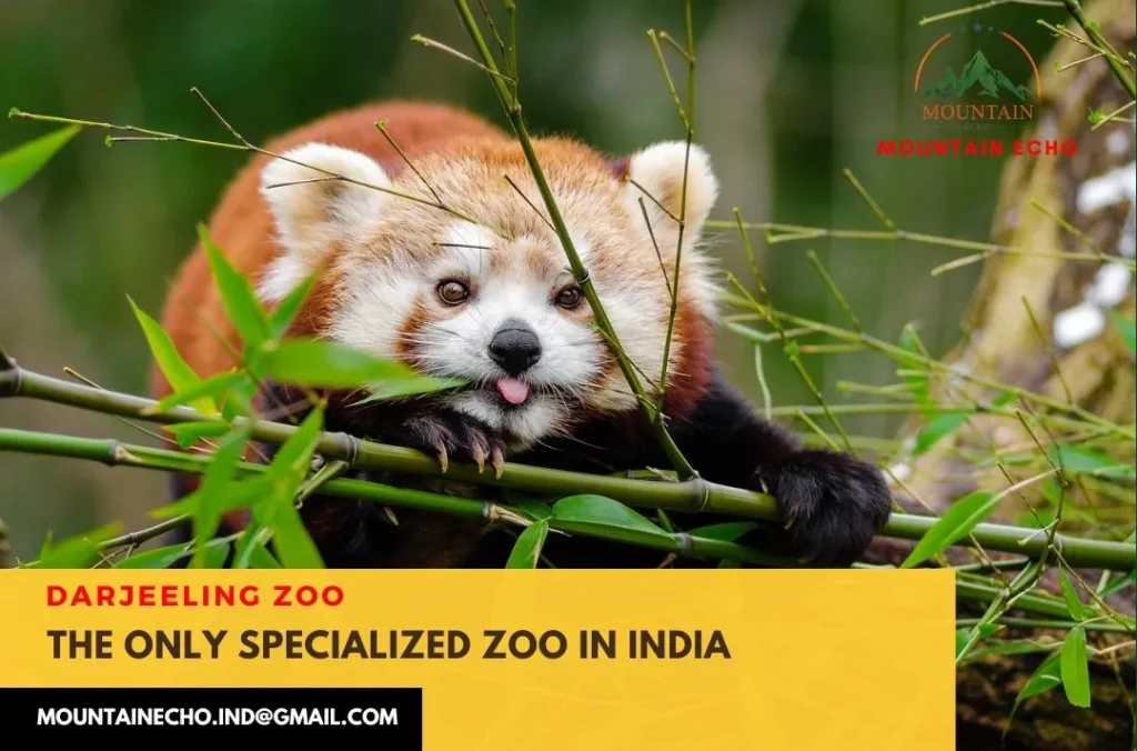 Darjeeling zoo
