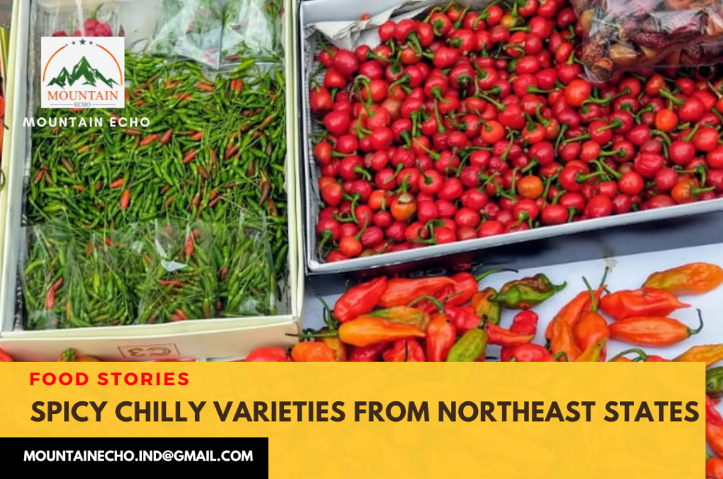 Spicy Chilli Variety - Northeast