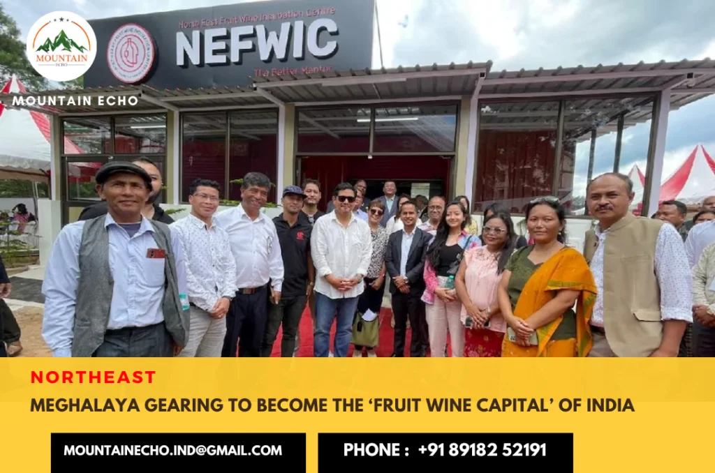 Meghalaya Wine Industry