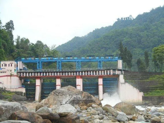 Bindu Village