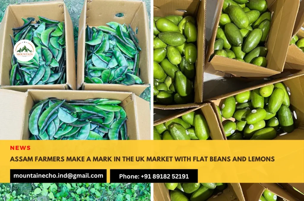 Assam farmers make a mark in the UK market with flat beans and lemons
