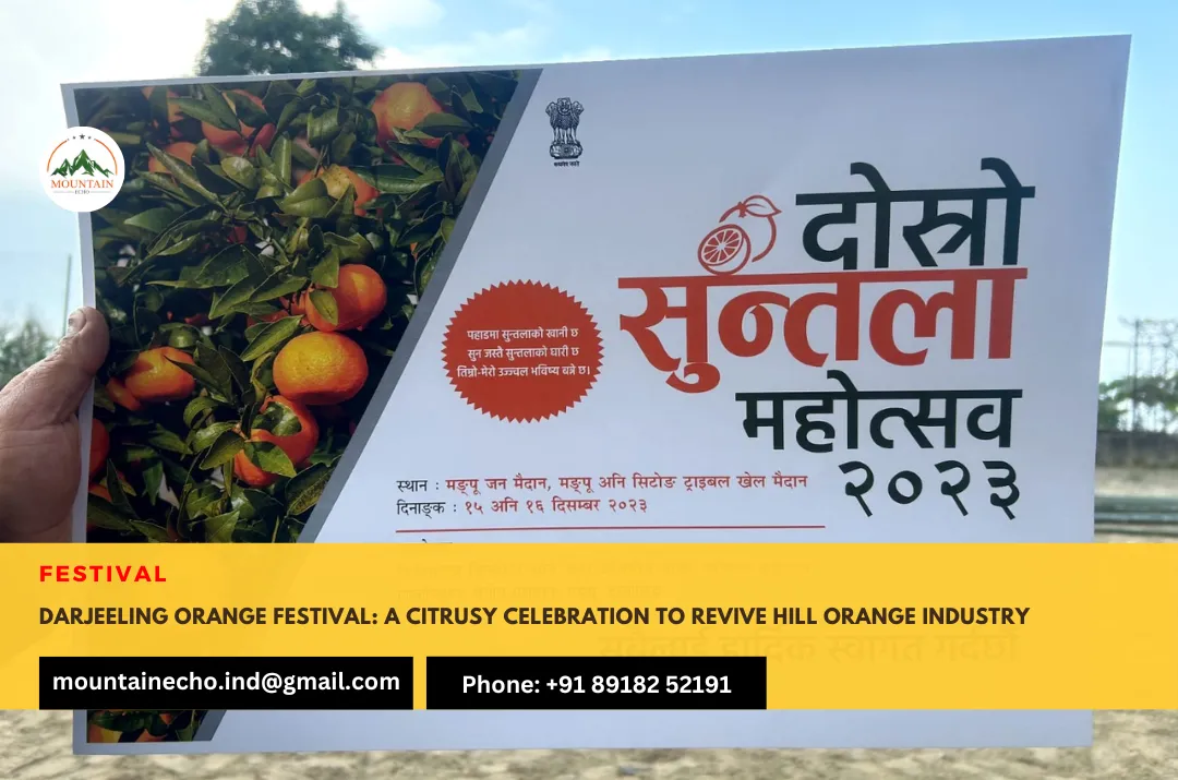 Darjeeling Orange Festival: A citrusy ce...