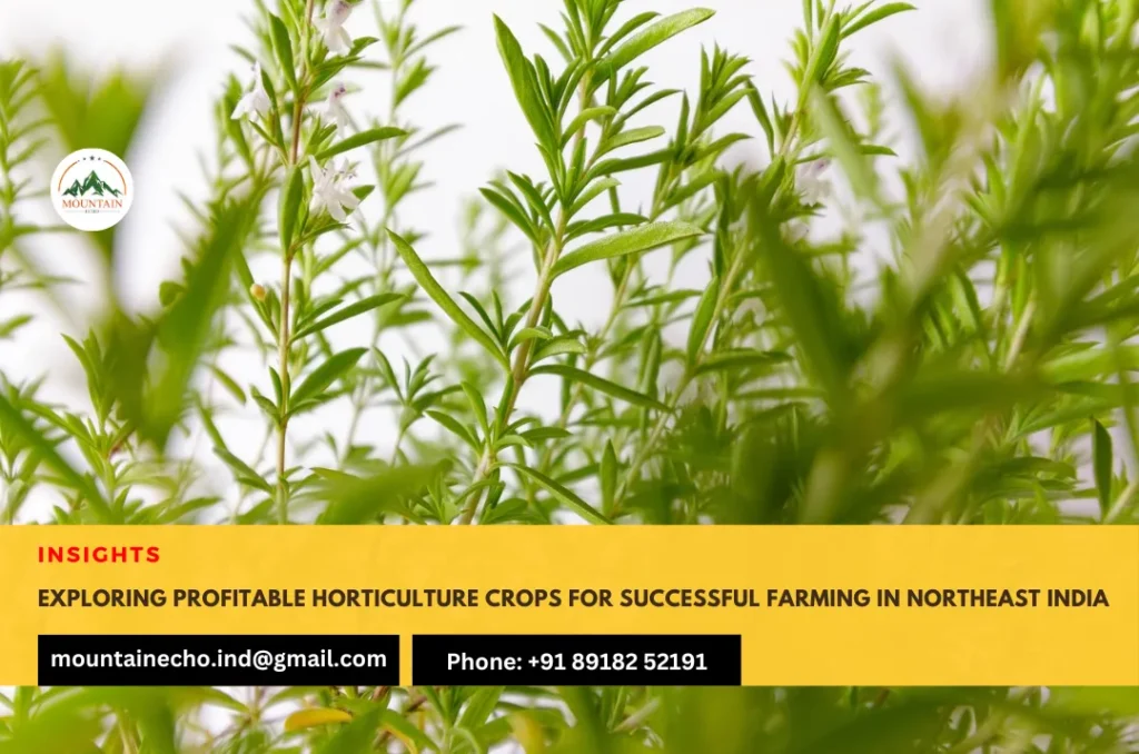 Exploring Profitable Horticulture Crops for Successful Farming in Northeast India