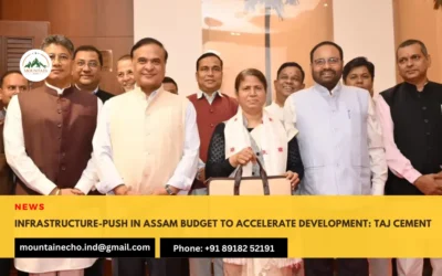 Infrastructure-push in Assam Budget to accelerate development: Taj Cement